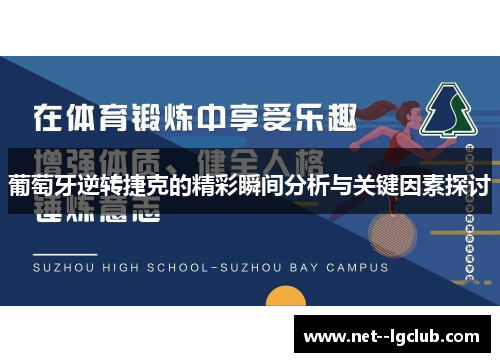 葡萄牙逆转捷克的精彩瞬间分析与关键因素探讨
