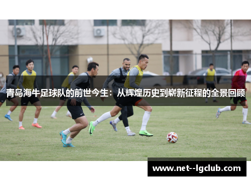 青岛海牛足球队的前世今生:从辉煌历史到崭新征程的全景回顾 青岛海牛足球队的前世今生:从辉煌历史到崭新征程的全景回顾